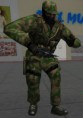 /album/galeria-de-fotos/ct-gign-jpg/